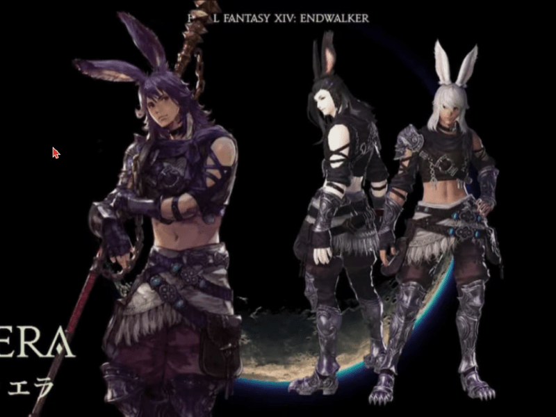 We’re Finally Getting Male Viera. I am so excited for this.